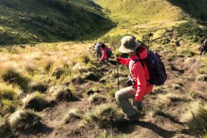 mount merbabu