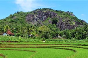 Yogyakarta Soft Trekking Tour