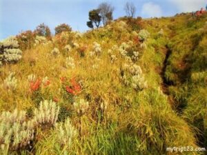 mount sindoro tour