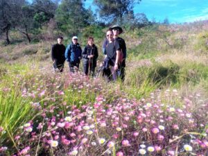 Mount Prau Tour 2D1N