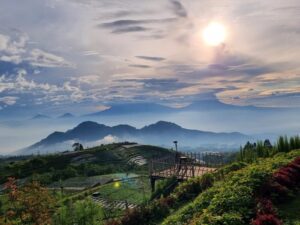 Borobudur Temple Tour