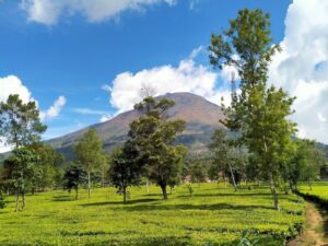 dieng plateau tour