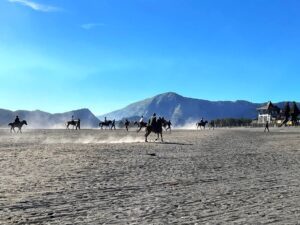 mount bromo tour 2 days 1 night