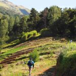 mount sumbing day hike via nepal van java route