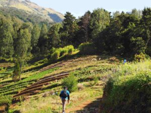 mount sumbing day hike via nepal van java route