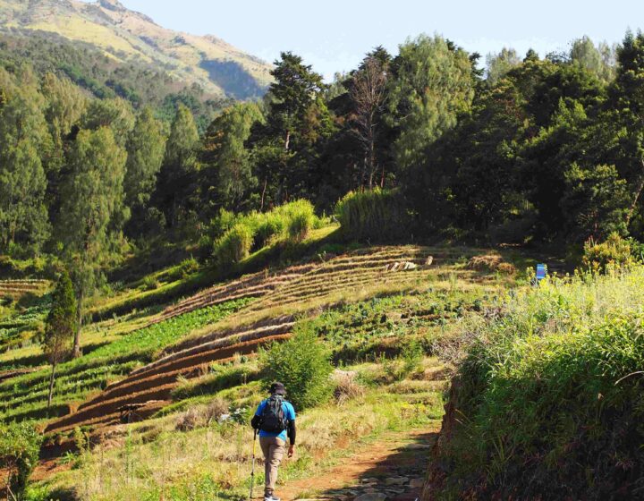 mount sumbing day hike via nepal van java route