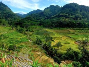 selogriyo temple tour