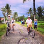 yogyakarta bicycle tour to traditional village
