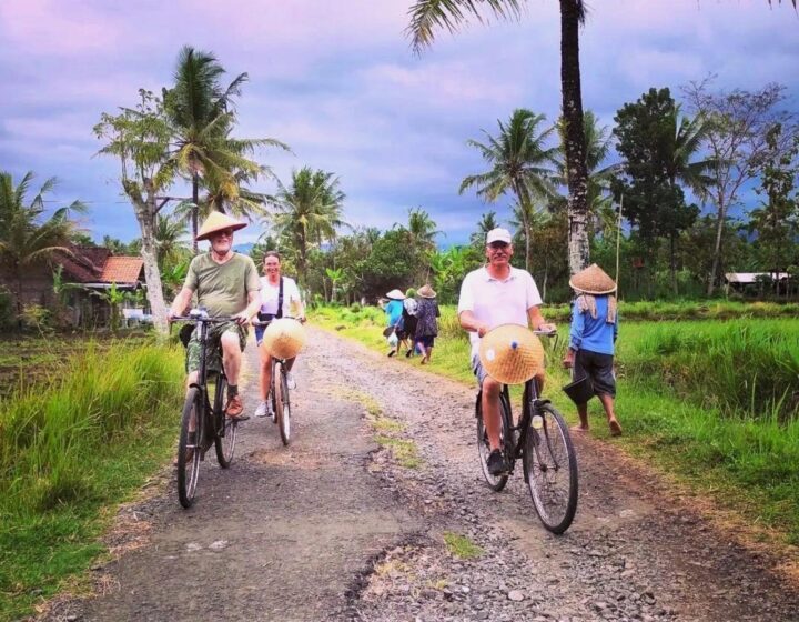 yogyakarta bicycle tour to traditional village