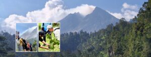 Mount Merapi Soft Trekking Tour