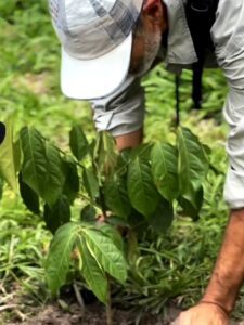 mount merapi soft trekking tour