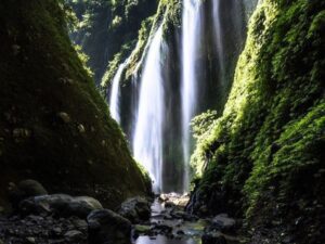 from surabaya to mount bromo madakaripura waterfall tour