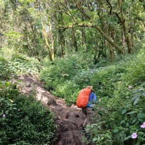 mount slamet camping tour