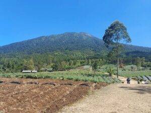 mount slamet trekking tour