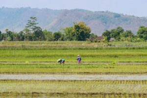 yogyakarta cycling tour package