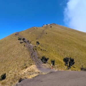 merbabu hiking tour via suwanting